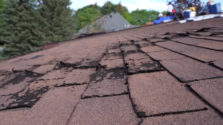  Eufaula, AL Roofing Service Pros